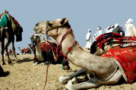 2-Tage-Tour in Kairo aus Hurghada