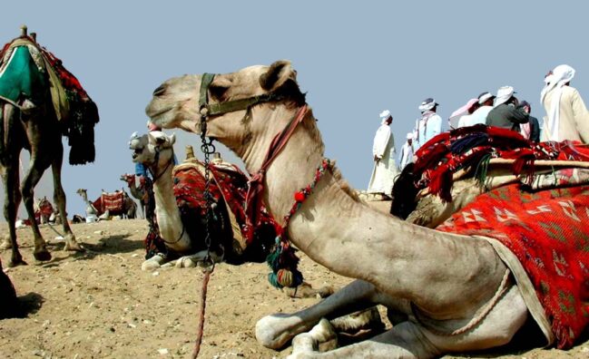 2-Tage-Tour in Kairo aus Hurghada