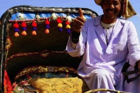 Tour durch Luxor, Pferdekutschenfahrt