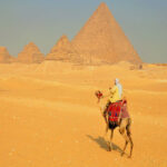 kamel um pyramiden x x