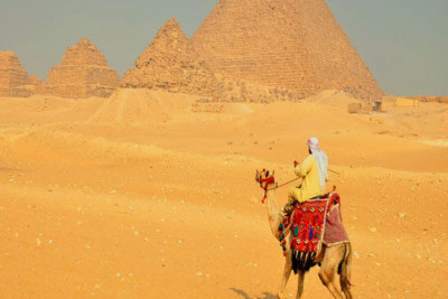 Tagesausflug in Cairo
