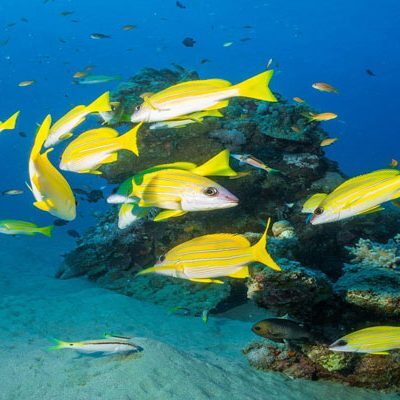 Hurghada