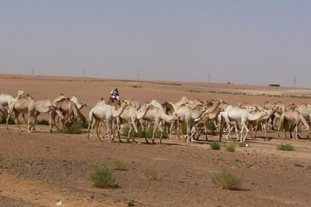 Luxor Kairo Wüsten Rundreise